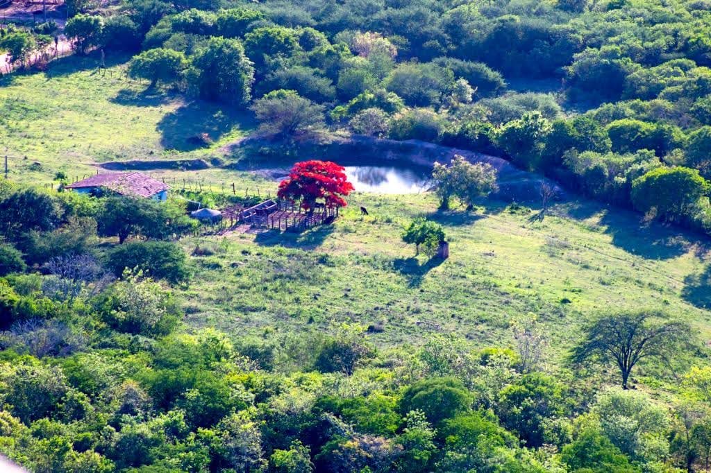 Mulungu no sopé da Serra da Camonga, Santana do Ipanema AL