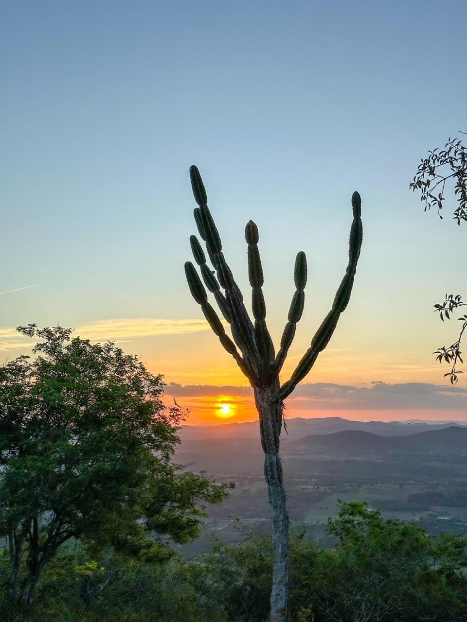 Pôr do Sol na Serra da Camonga sob a vigilância do imponente mandacaru.