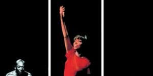 Carcará pega, mata e come